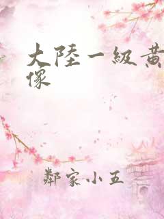 大陆一级黄色录像