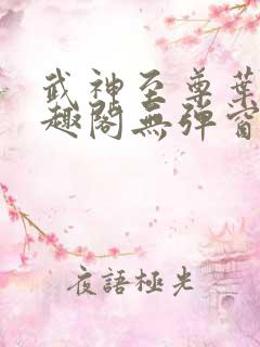 武神至尊叶风笔趣阁无弹窗