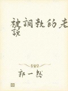 被调教的老婆小说