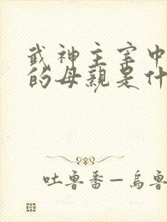 武神主宰中秦尘的母亲是什么修为