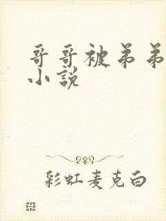 哥哥被弟弟调教小说