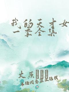 我的天才女友第一季全集