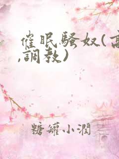 催眠骚奴(高h,调教)