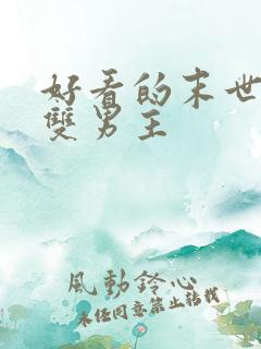 好看的末世小说双男主