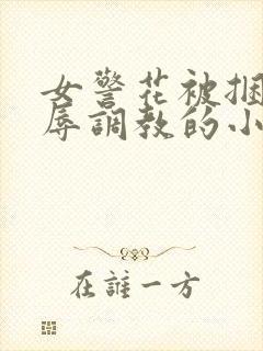 女警花被捆绑屈辱调教的小说