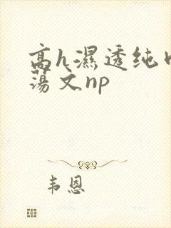 高h湿透纯肉放荡文np