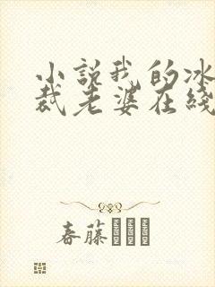 小说我的冰山总裁老婆在线阅读