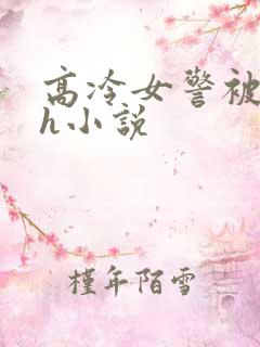 高冷女警被辱高h小说