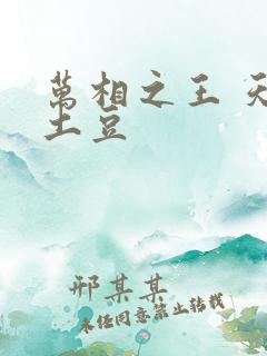 万相之王 天蚕土豆