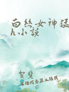 白丝女神猛烈高h小说