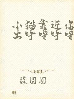 小猫靠近你时发出呼噜呼噜的声音