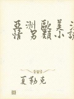 亚洲 欧美 激情 另类小说