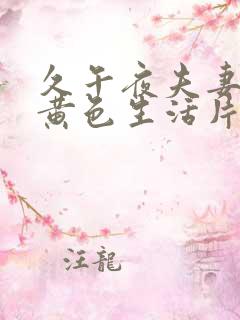 久午夜夫妻一级黄色生活片