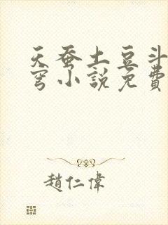 天蚕土豆斗破苍穹小说免费阅读