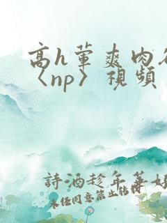 高h荤爽肉欲文〈np〉视频