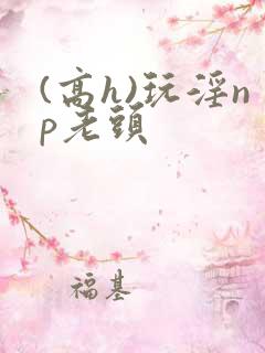 (高h)玩淫np老头
