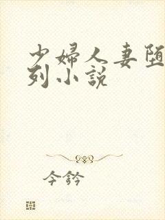 少妇人妻堕落系列小说