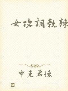 女攻调教辣文