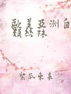 欧美亚洲自拍另类丝袜