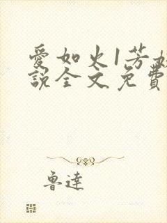 爱如火1芳姨小说全文免费阅读