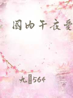 国内午夜爱爱片