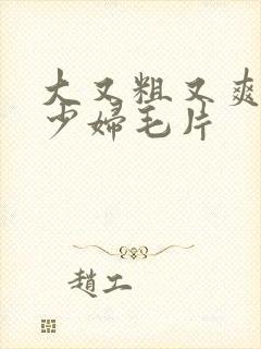 大又粗又爽又黄少妇毛片