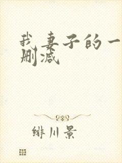 我妻子的一切无删减