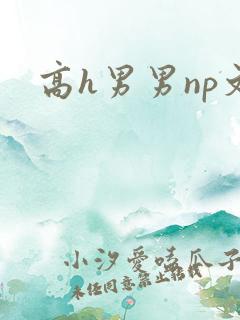 高h男男np文