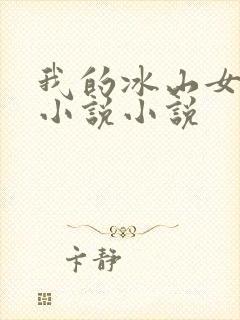 我的冰山女总裁小说小说