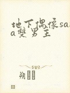 地下偶像sana双男主