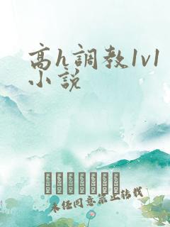 高h调教1v1小说