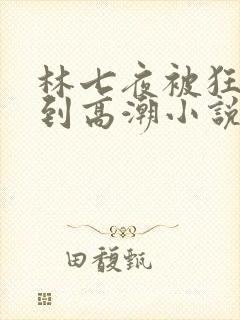 林七夜被狂c躁到高潮小说