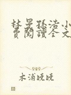 林曼孙浩小说免费阅读全文最新章节