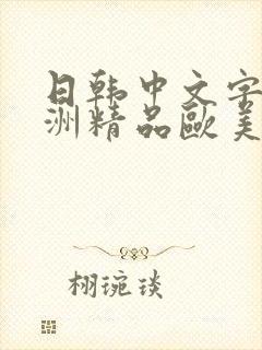 日韩中文字幕亚洲精品欧美