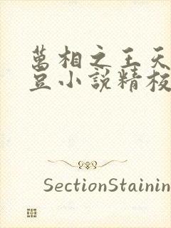 万相之王天蚕土豆小说精校版全集txt