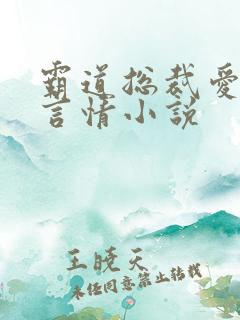 霸道总裁爱上我言情小说