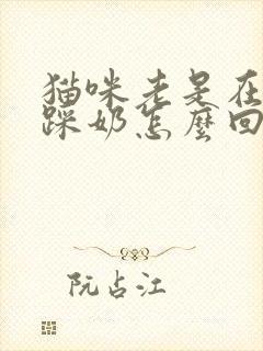 猫咪老是在身上踩奶怎么回事