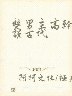 双男主高干文小说古代