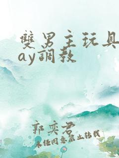 双男主玩具play调教