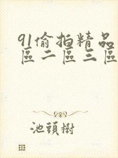 91偷拍精品一区二区三区