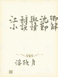 江稚与沈卿尘的小说情节解析