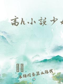 高h小说少妇