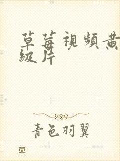 草莓视频黄色一级片