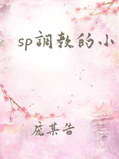 sp调教的小说