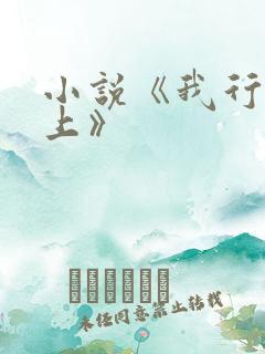 小说《我行让我上》