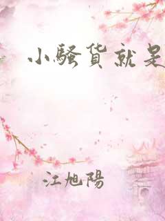 小骚货就是欠操