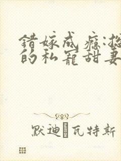 错嫁成瘾:总裁的私宠甜妻