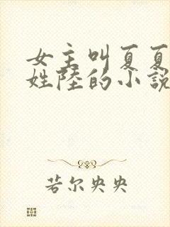 女主叫夏夏男主姓陆的小说