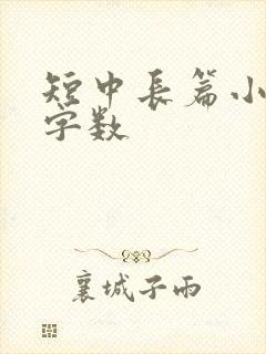 短中长篇小说的字数