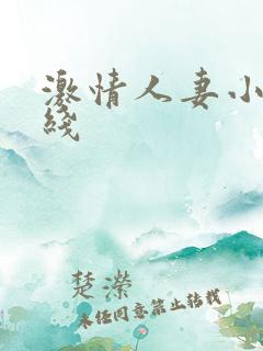 激情人妻小说在线